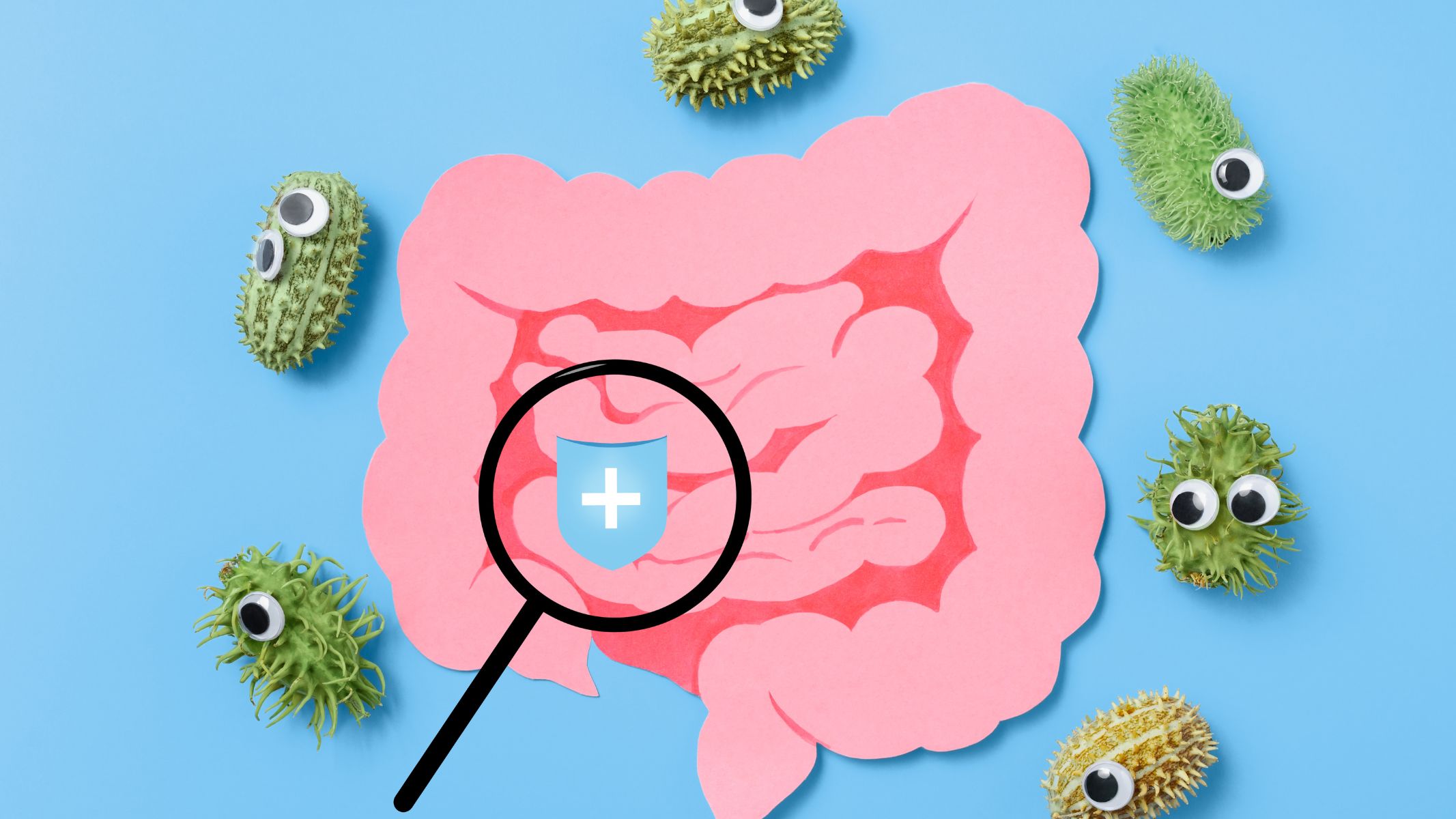 Nhiễm khuẩn đường ruột xảy ra khi vi sinh vật gây hại xâm nhập vào hệ tiêu hóa, tấn công niêm mạc ruột và làm rối loạn hoạt động tiêu hóa