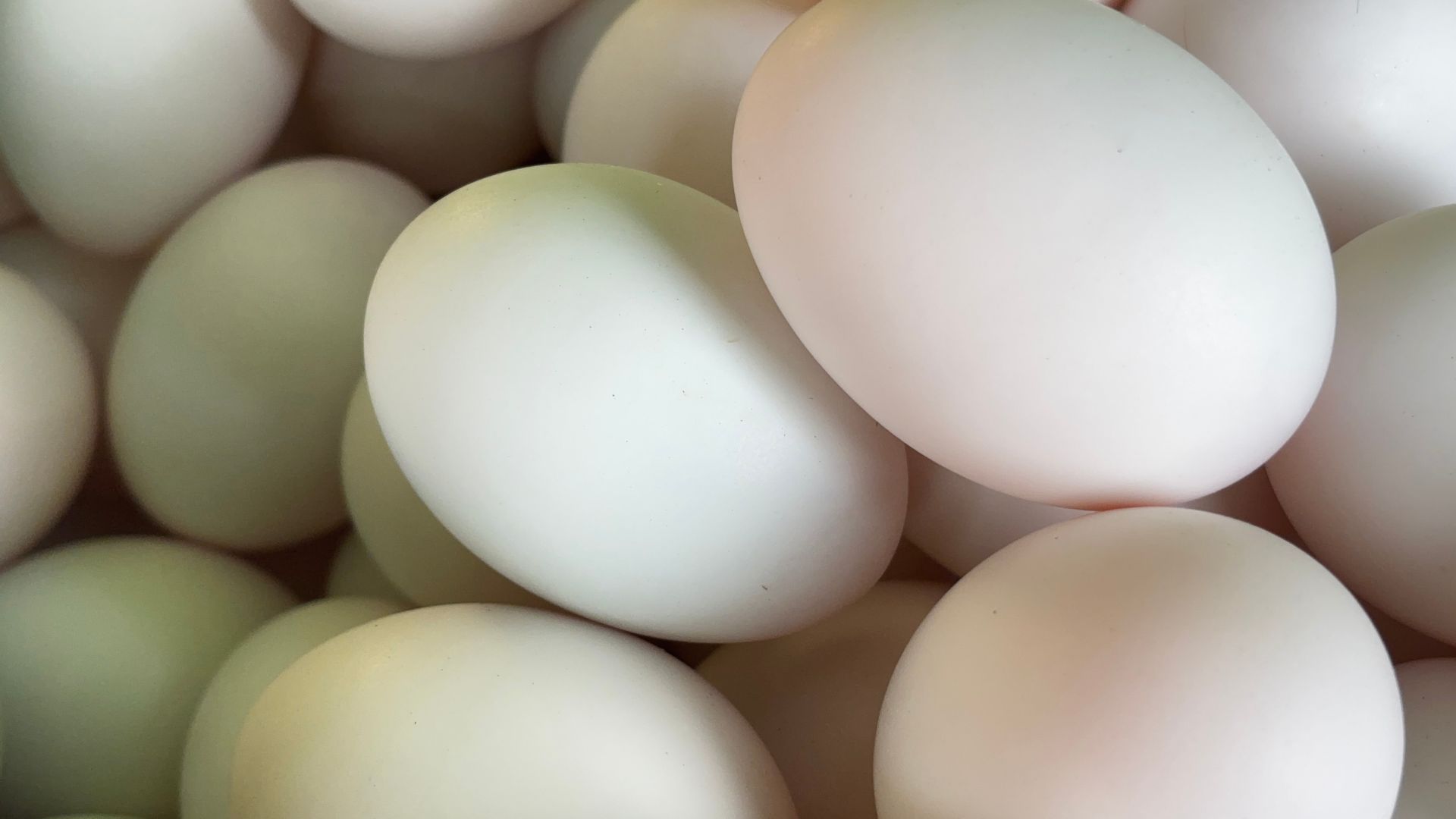 Trứng vịt lộn cung cấp nhiều dưỡng chất nhưng cần sử dụng với lượng hợp lý