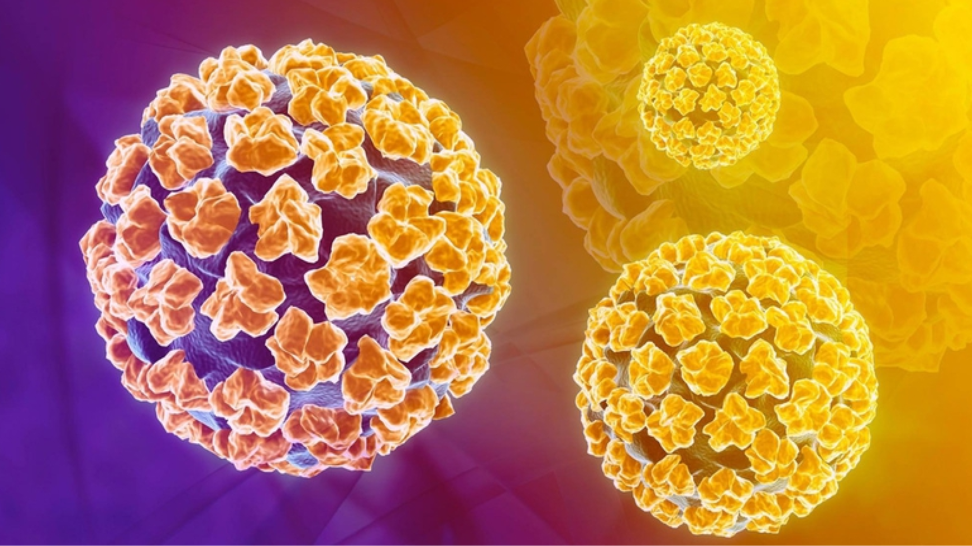 HPV 18 là chủng virus nguy cơ cao, cần được tầm soát và tiêm phòng sớm