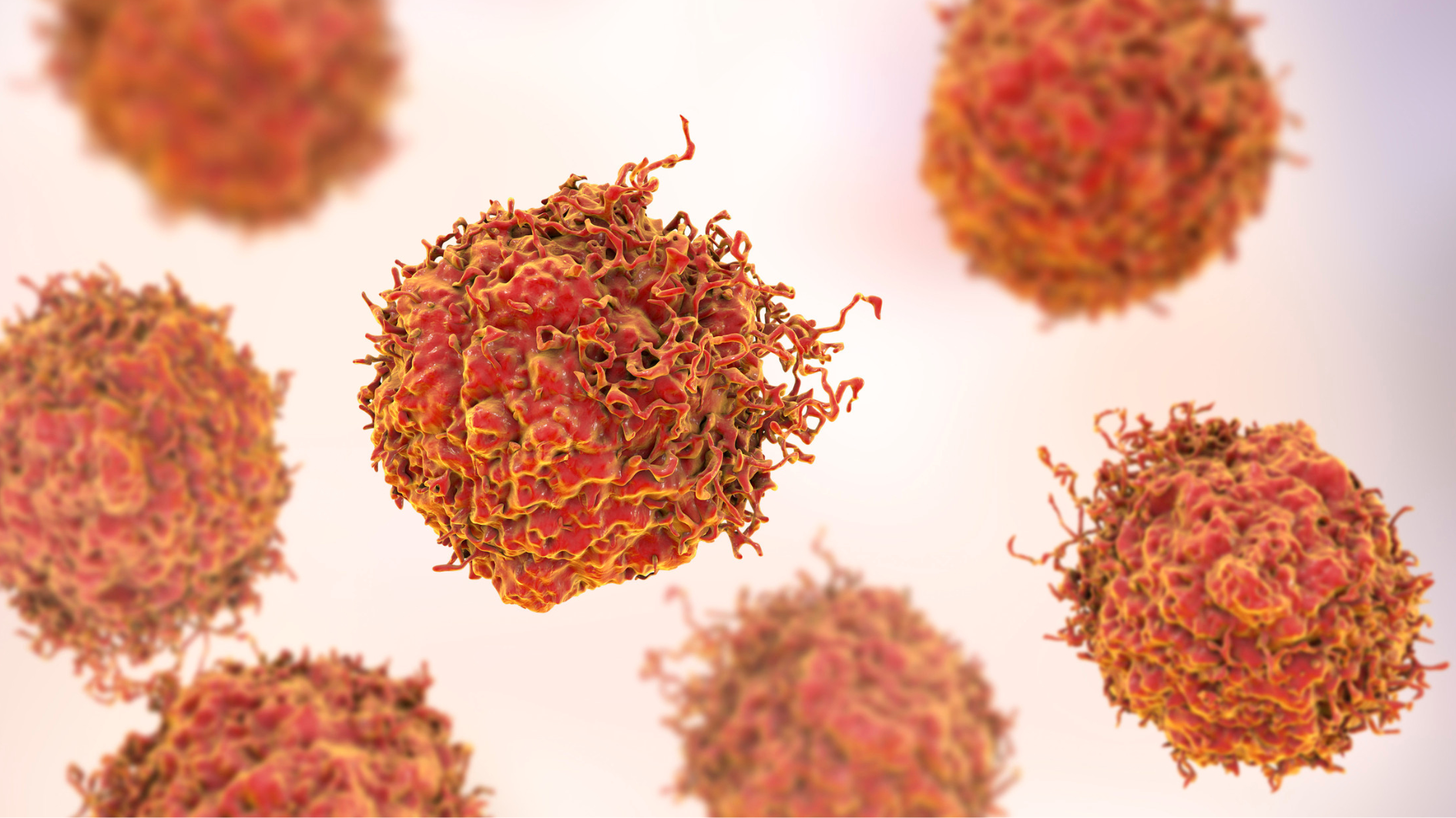 tim-hieu-hpv-31-la-gi-co-nguy-hiem-khong (1).png