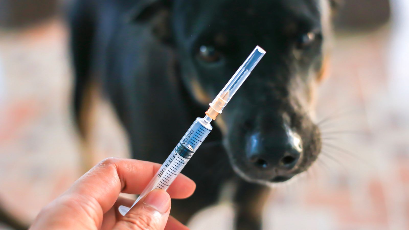 tim-hieu-tiem-phong-cho-dai-can-bao-nhieu-tien-1