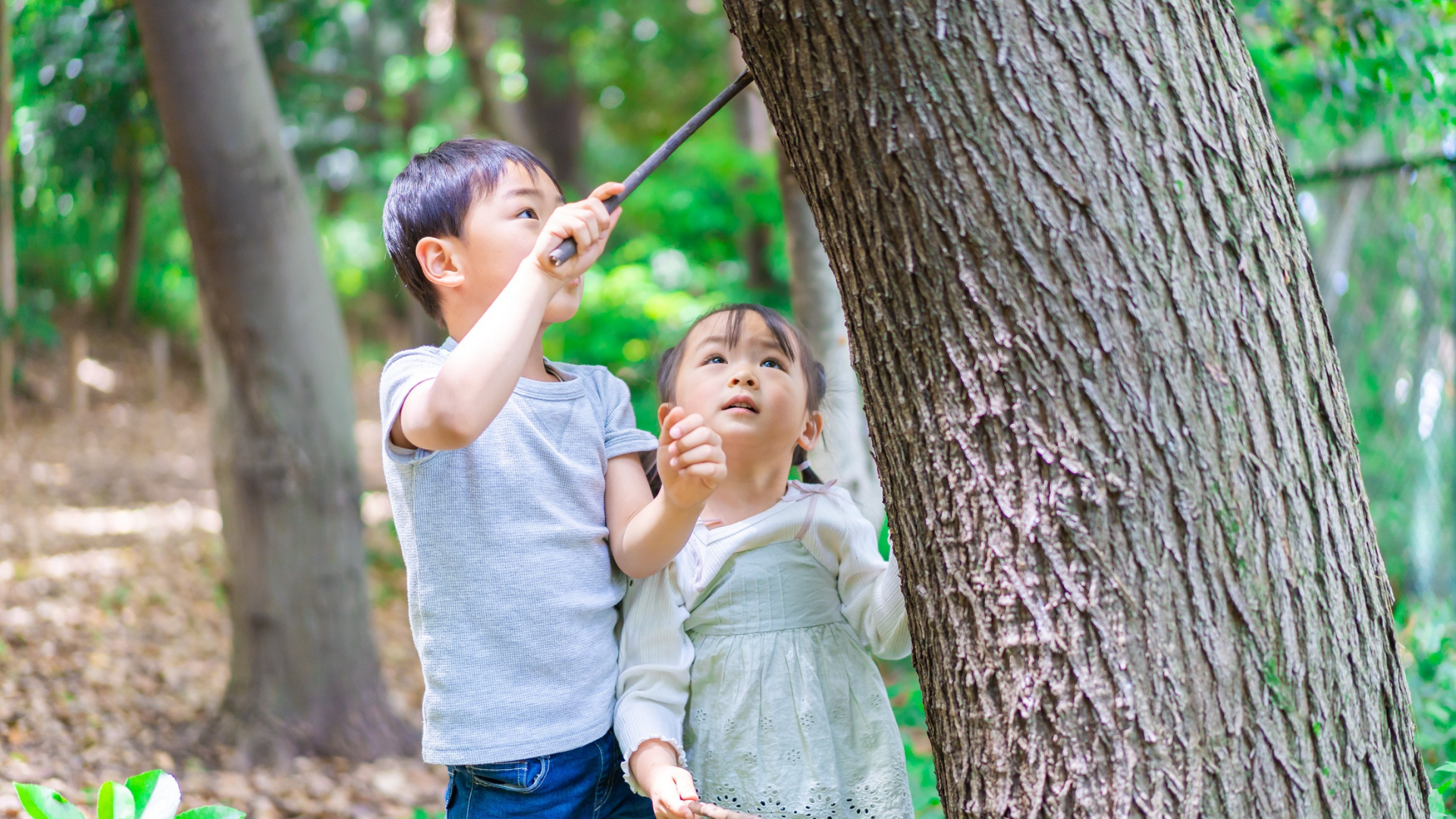 Bạn có muốn biết cách áp dụng phương pháp nuôi dạy con kiểu Nhật không?