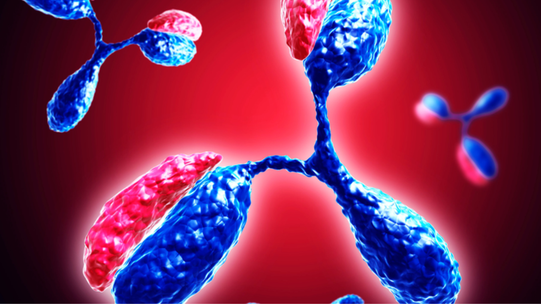 tim-hieu-xet-nghiem-khang-the-la-gi-co-nhung-loai-xet-nghiem-khang-the-nao (1).png