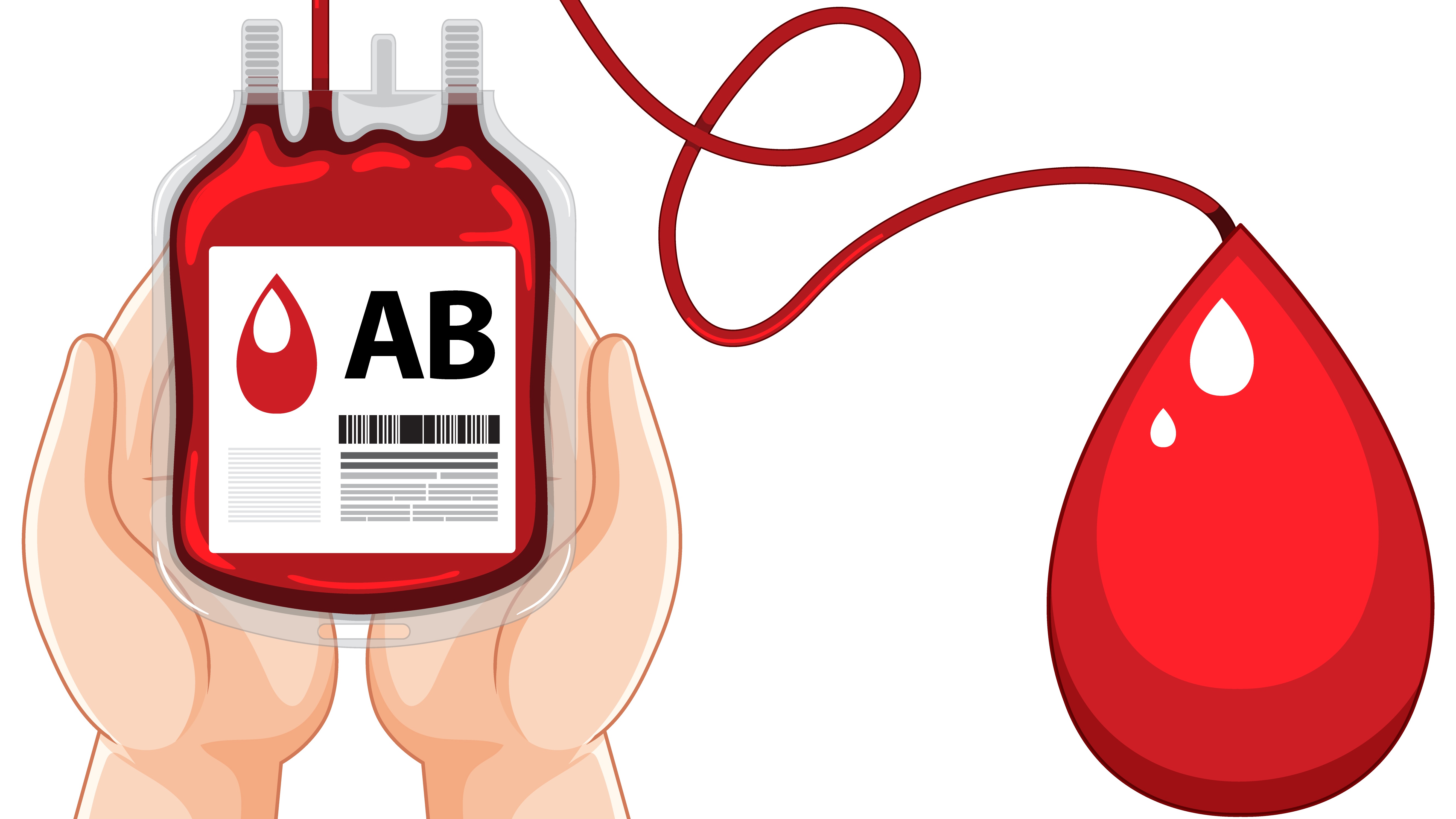 Ở nhóm máu AB, trên bề mặt hồng cầu tồn tại cả hai loại kháng nguyên A và B