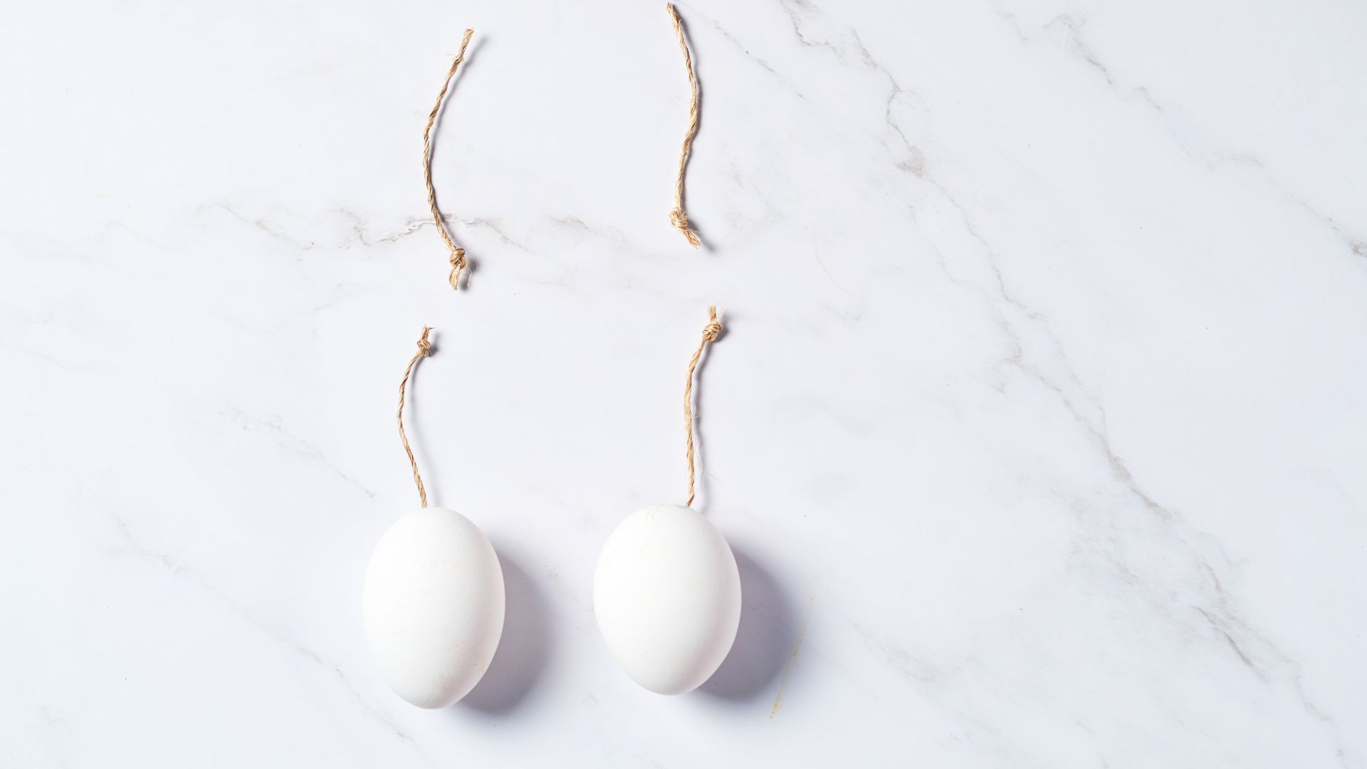 tinh-hoan-la-gi-cau-tao-va-chuc-nang-cua-tinh-hoan-doi-voi-nam-gioi 1.jpg