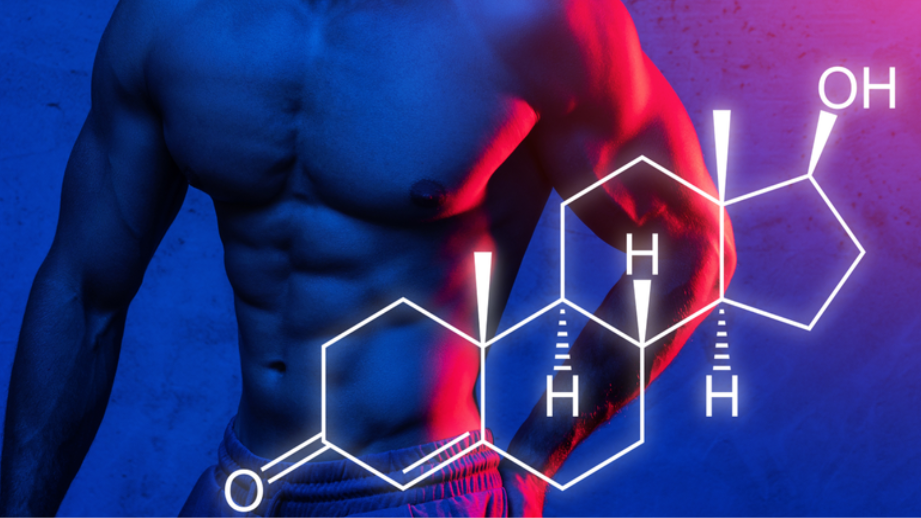 tinh-hoan-la-gi-cau-tao-va-chuc-nang-cua-tinh-hoan-doi-voi-nam-gioi (3).png