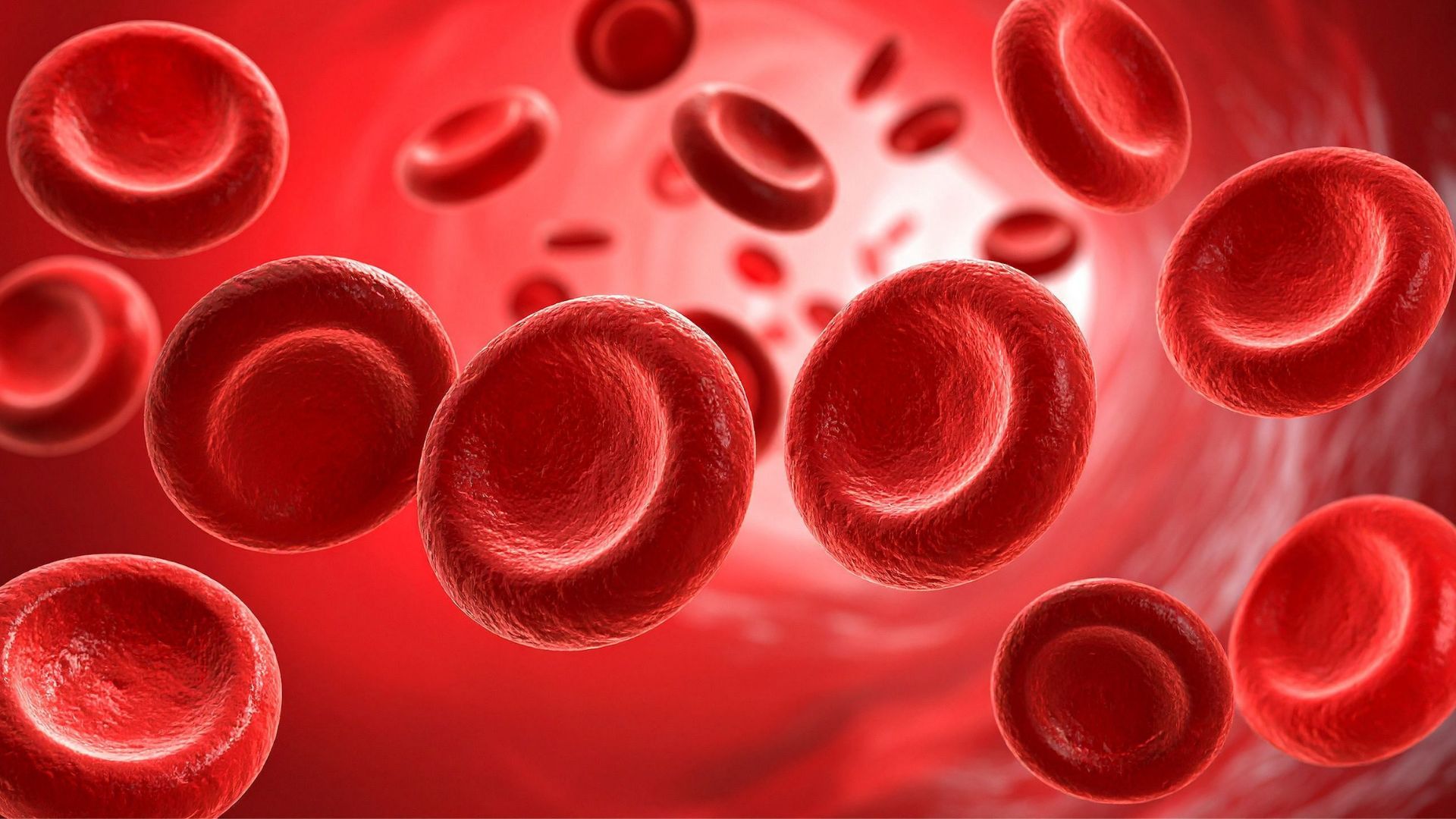 Có khoảng 60 - 70% thể tích máu của cơ thể nằm trong tĩnh mạch