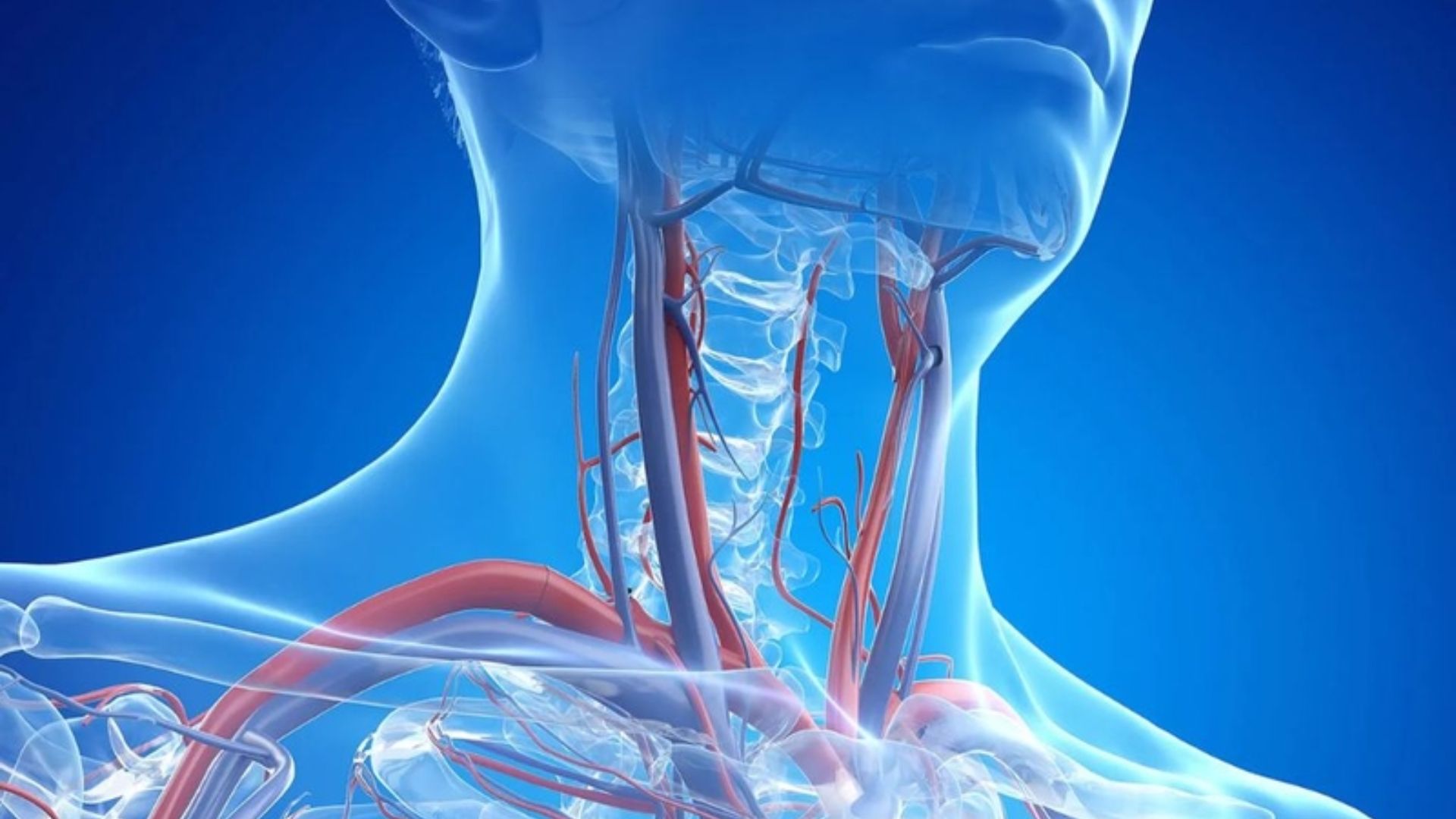 Tĩnh mạch cổ nổi là tình trạng khá nhiều độc giả đã gặp phải