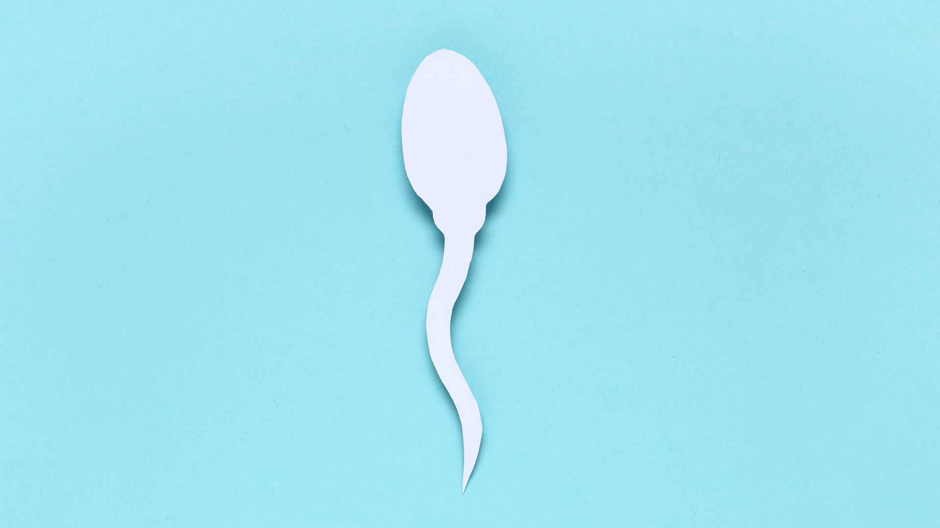 Xuất tinh không đều là một nguyên nhân khiến cho tinh dịch có những hạt trắng nhỏ