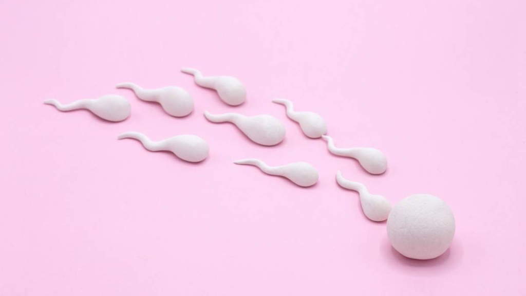 Tinh trùng tồn tại bao lâu ngoài không khí? 4