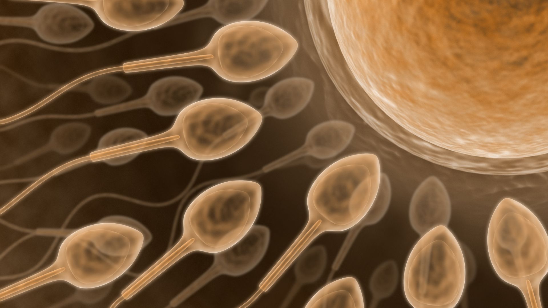 Tinh trùng vón cục có thụ thai được không là thắc mắc của nhiều người