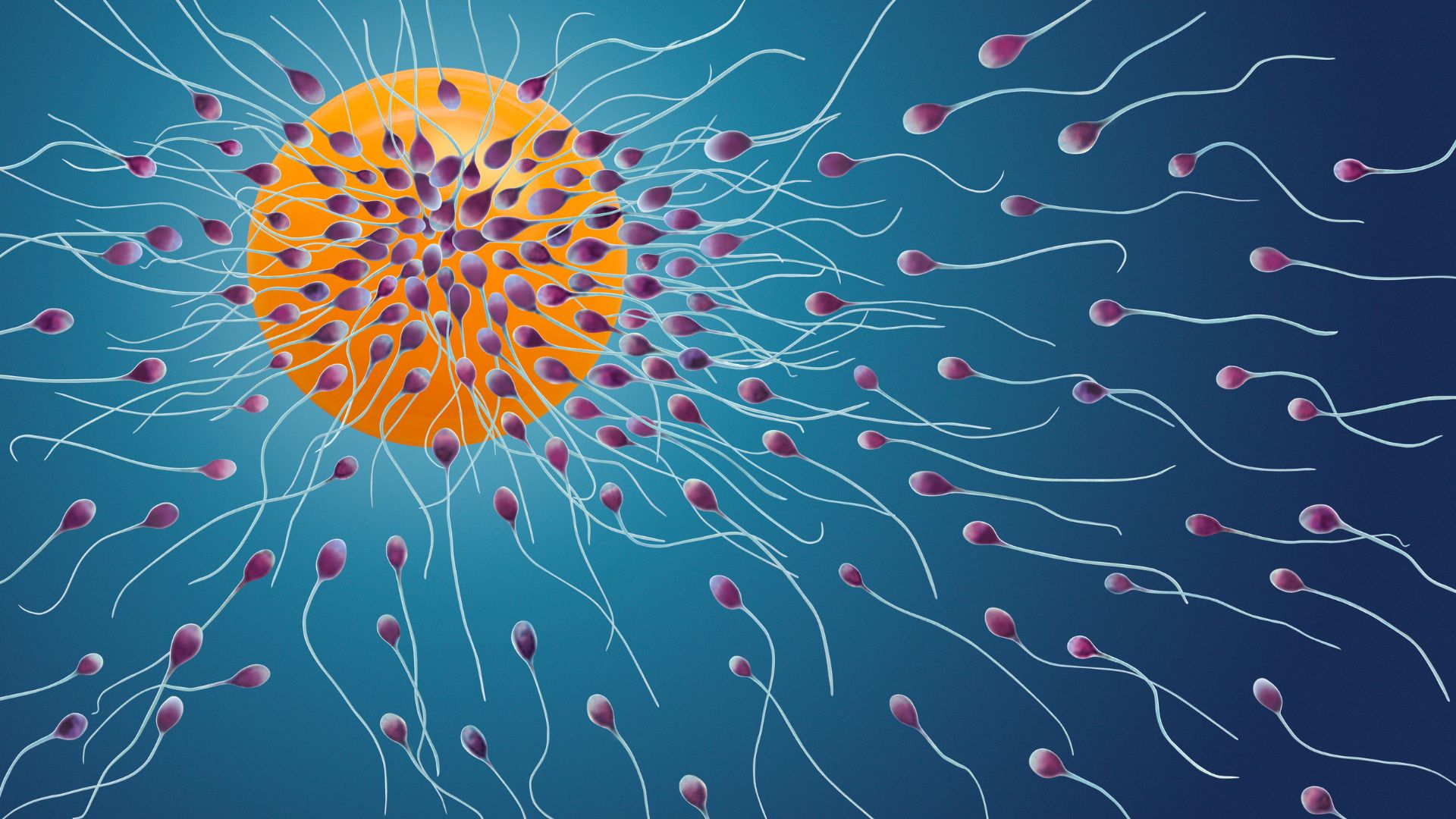 Tinh trùng bị vón cục ảnh hưởng đến khả năng di chuyển của chúng