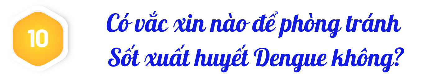 title-sot-xuat-huyet-dengue-10.png