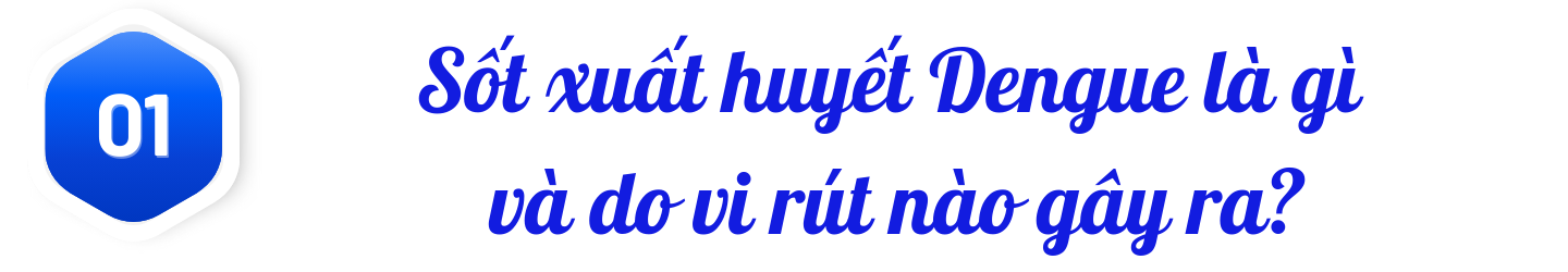 title-sot-xuat-huyet-dengue-1.png
