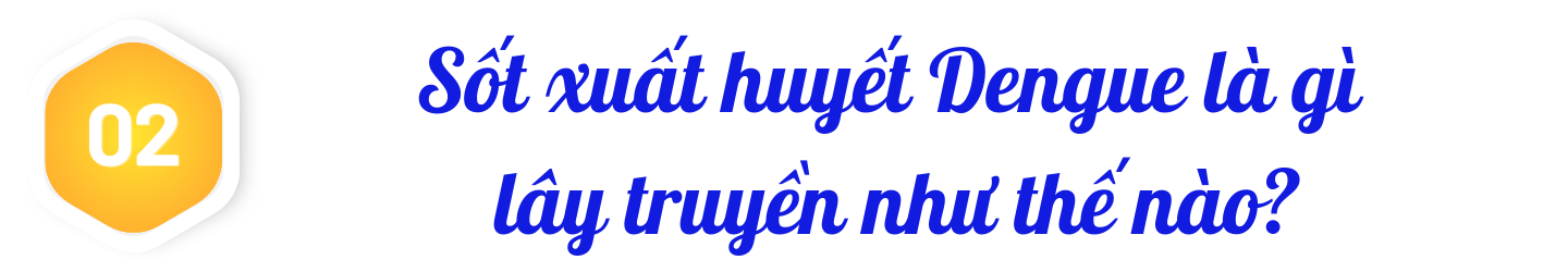 title-sot-xuat-huyet-dengue-2.png