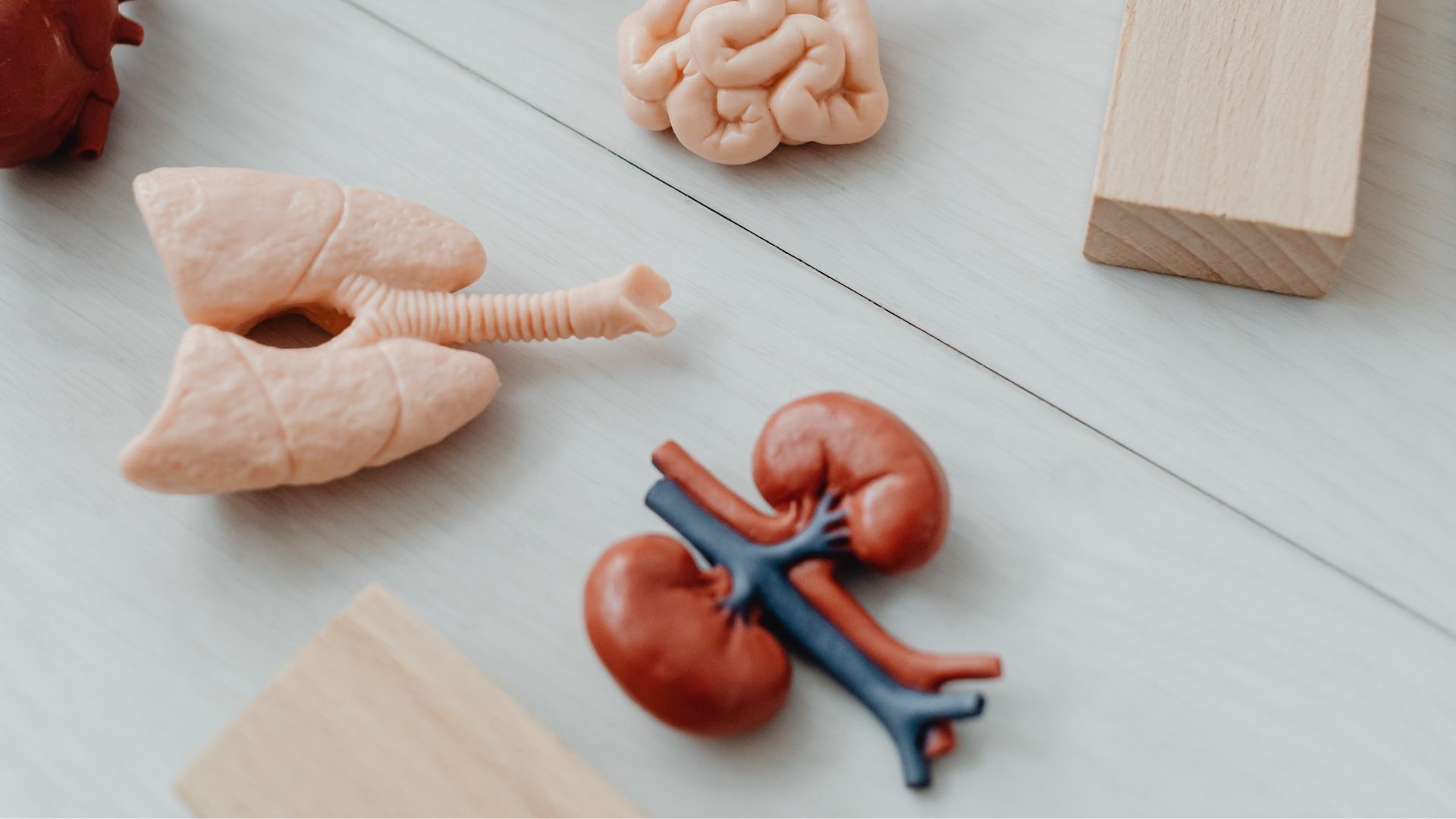 Tổn thương thận cấp có thể ảnh hưởng đến nhiều cơ quan khác