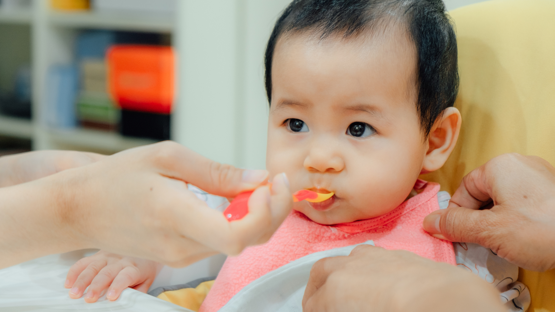 Đây là thời điểm bé chuyển dần từ bú sữa hoàn toàn sang ăn là chính