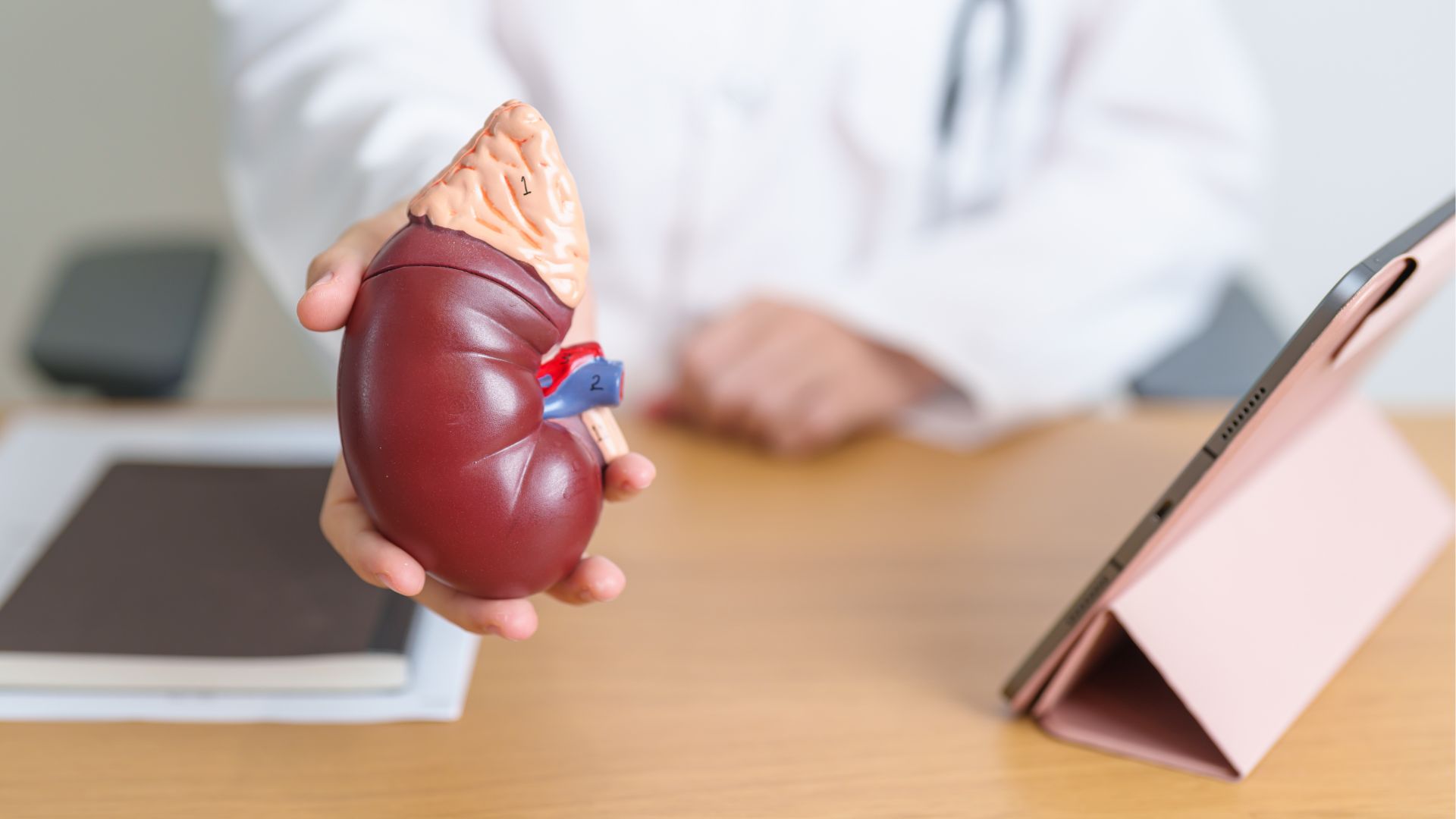 Hình ảnh tuyến thượng thận bình thường và khi xuất hiện khối u sẽ khác nhau khi kiểm tra