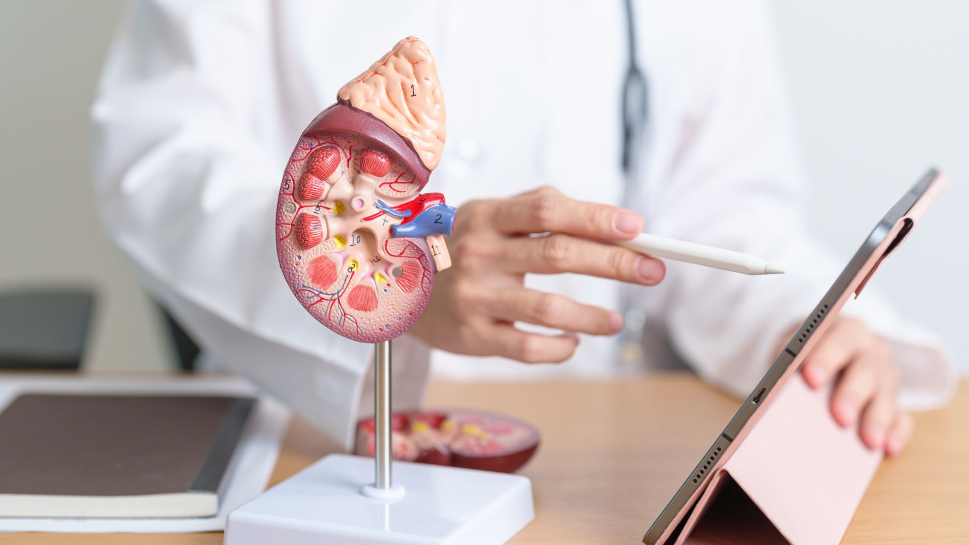 Chẩn đoán hình ảnh u tuyến thượng thận giúp quan sát rõ vị trí và kích thước khối bất thường