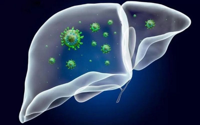 Viêm gan B ở trẻ em là bệnh do virus HBV gây ra