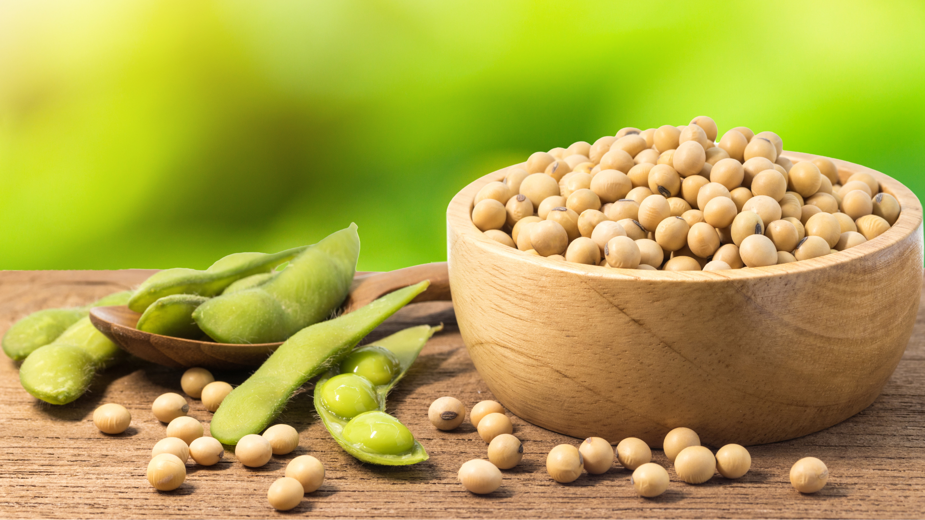 Top 10+ thực phẩm giàu protein 5