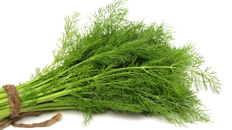 Thì là là loại gia vị giúp giảm đầy bụng và hỗ trợ tiêu hóa tốt hơn