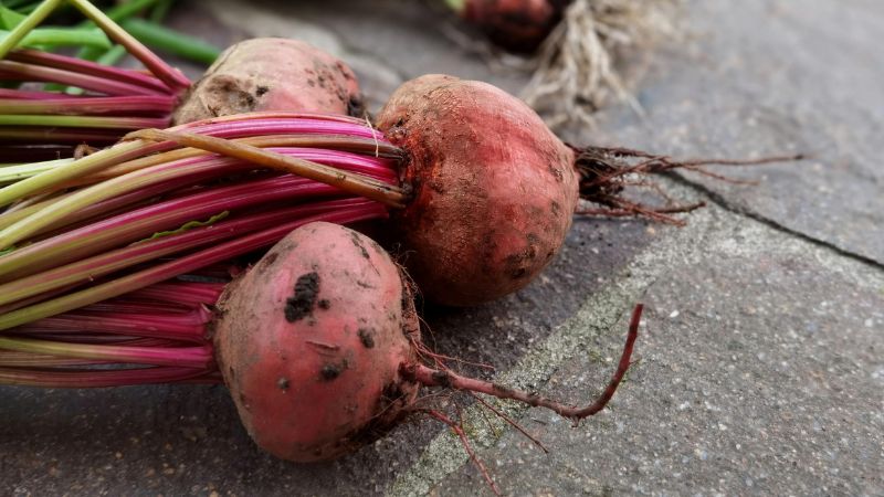 Củ cải đường là thực phẩm hỗ trợ tiêu hóa và giúp đường ruột hoạt động hiệu quả hơn