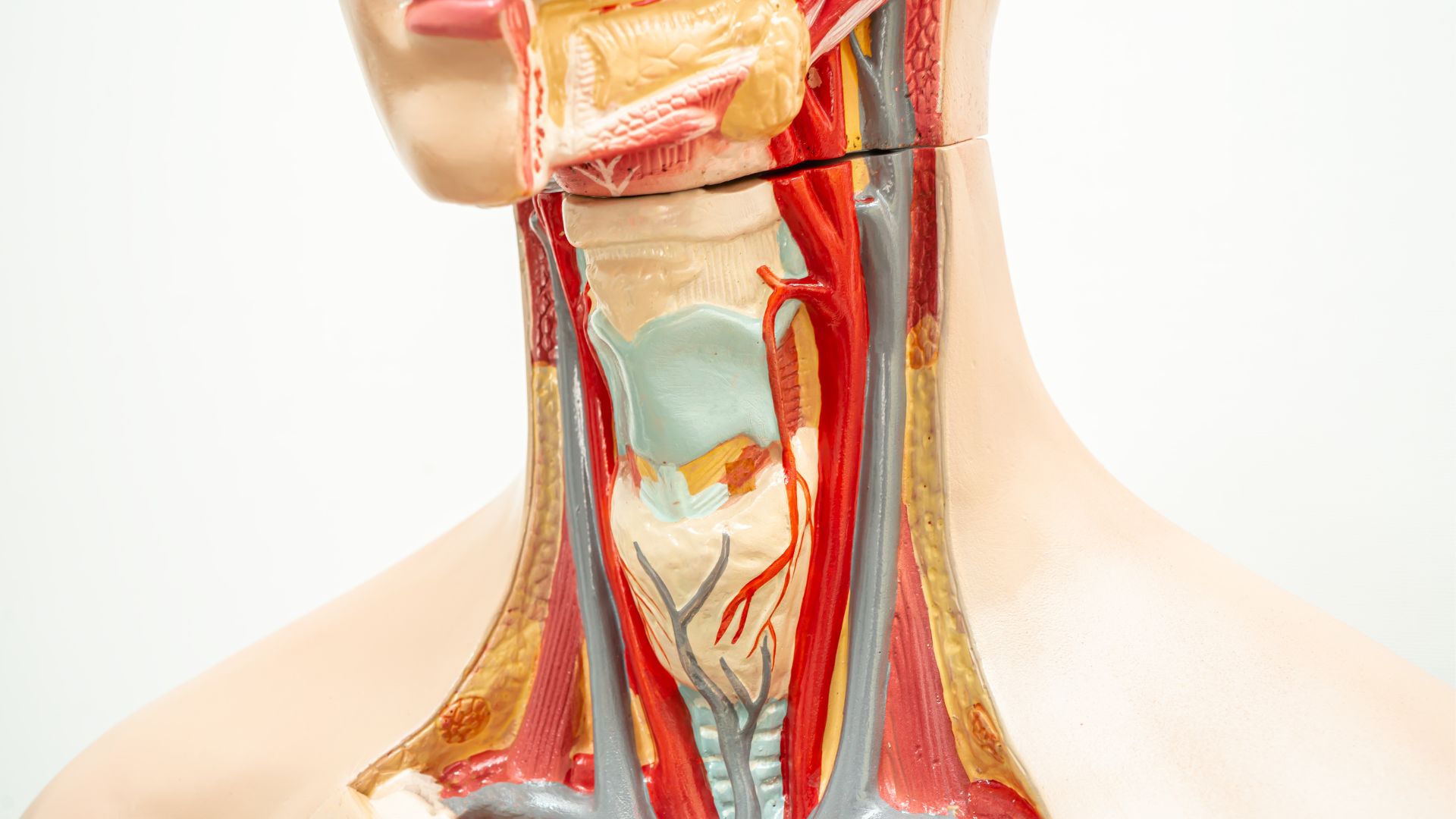 Cơ chế dịch vị đi ngược lên thực quản làm thay đổi môi trường khoang miệng