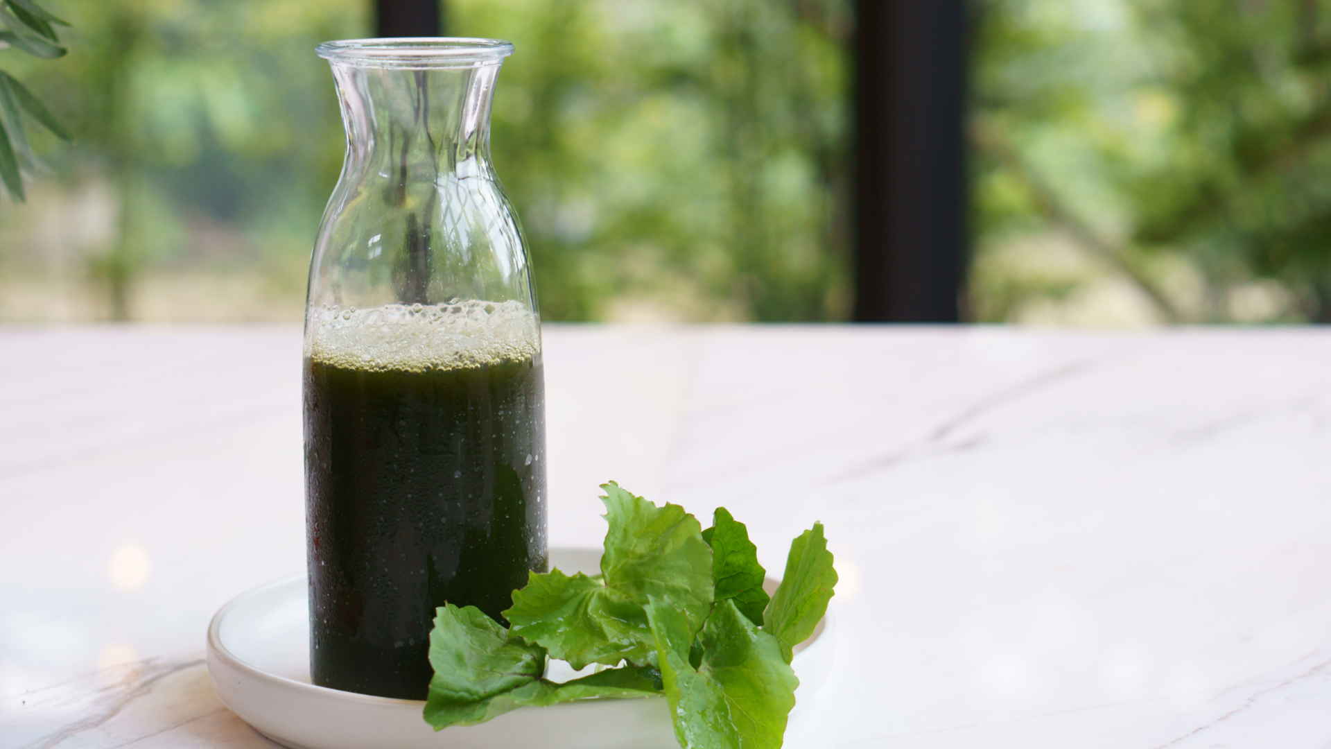 Trào ngược dạ dày uống rau má được không? Rau má tác động thế nào đến người bị trào ngược?