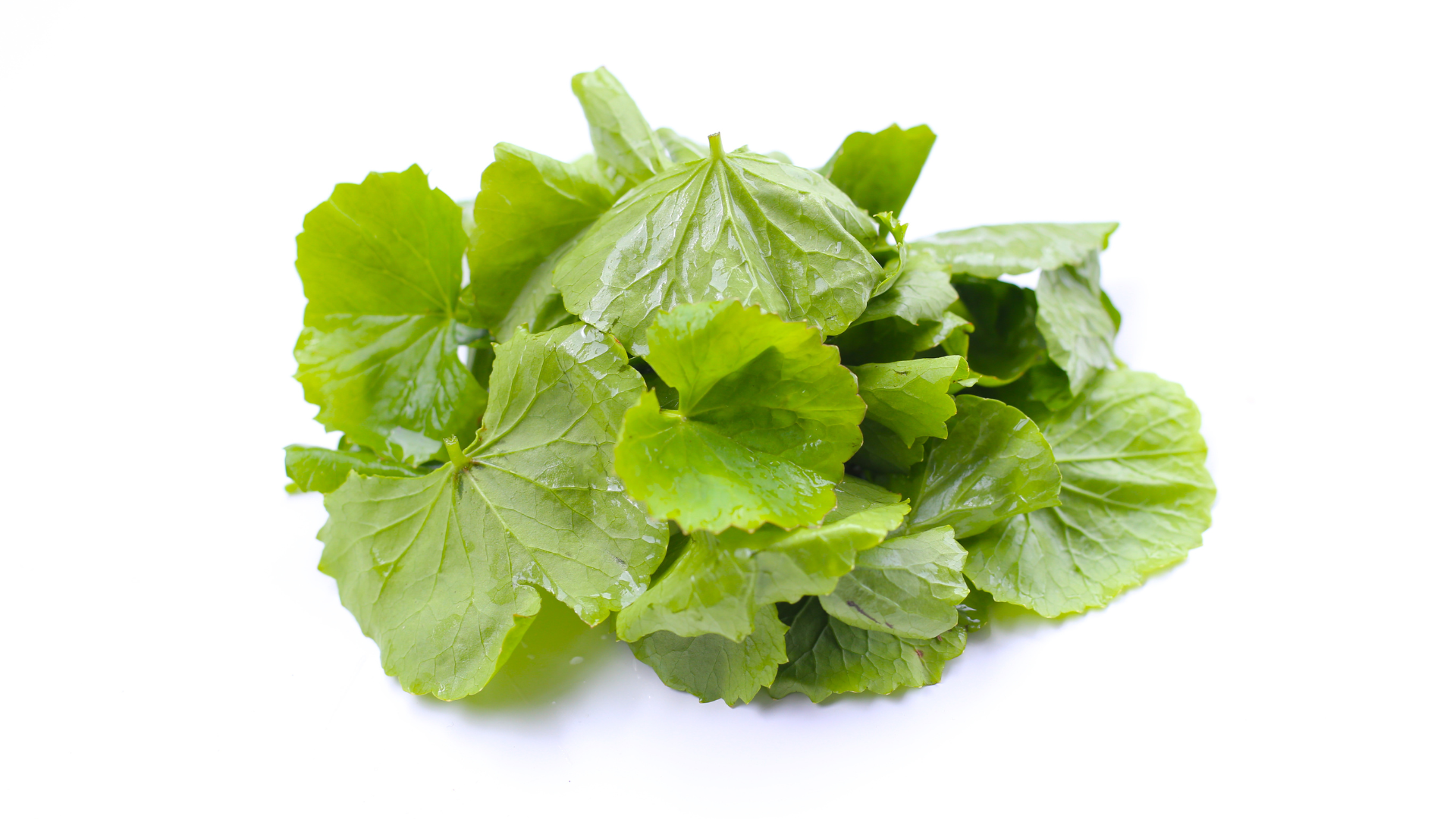 Rau má có tính mát, nếu dùng đúng lượng có thể giúp cơ thể cảm thấy dễ chịu hơn