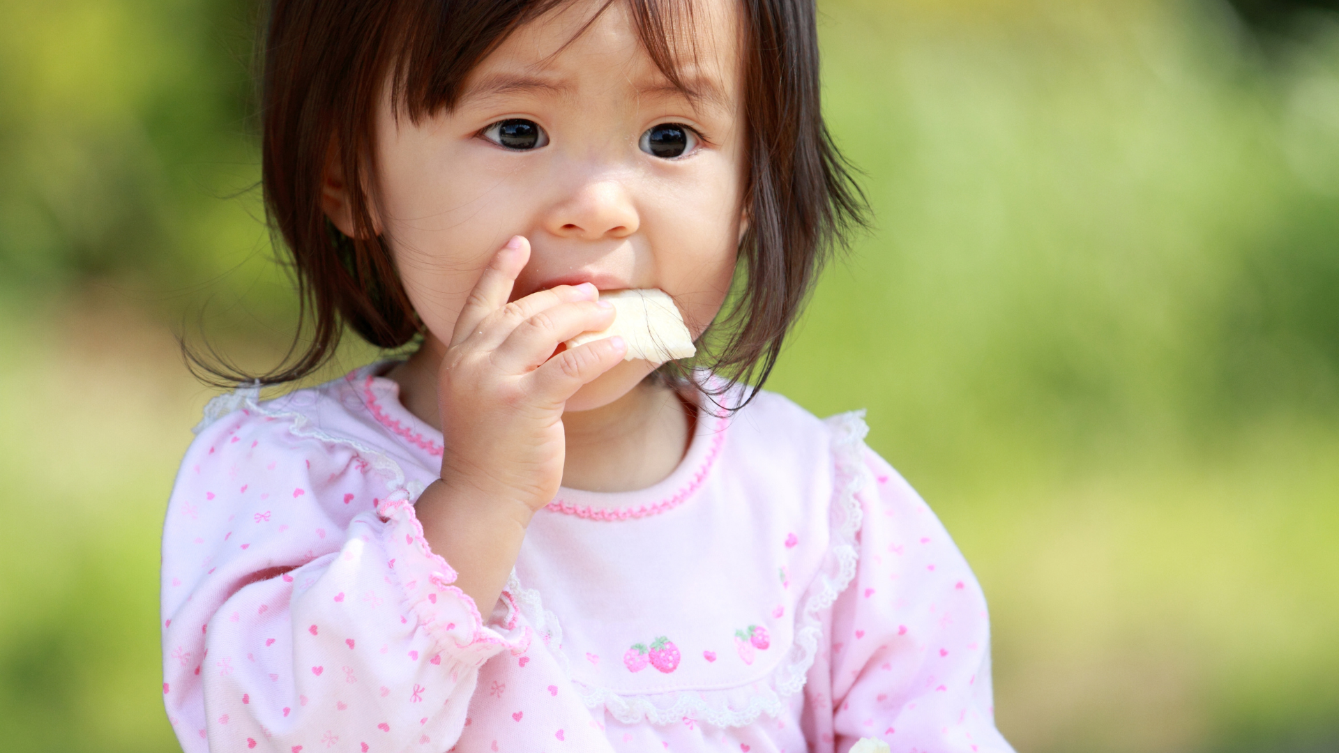 Trẻ 1 tuổi ăn được bánh kẹo gì? Chọn món mềm, dễ nhai, đảm bảo an toàn và bổ sung dinh dưỡng cho bé