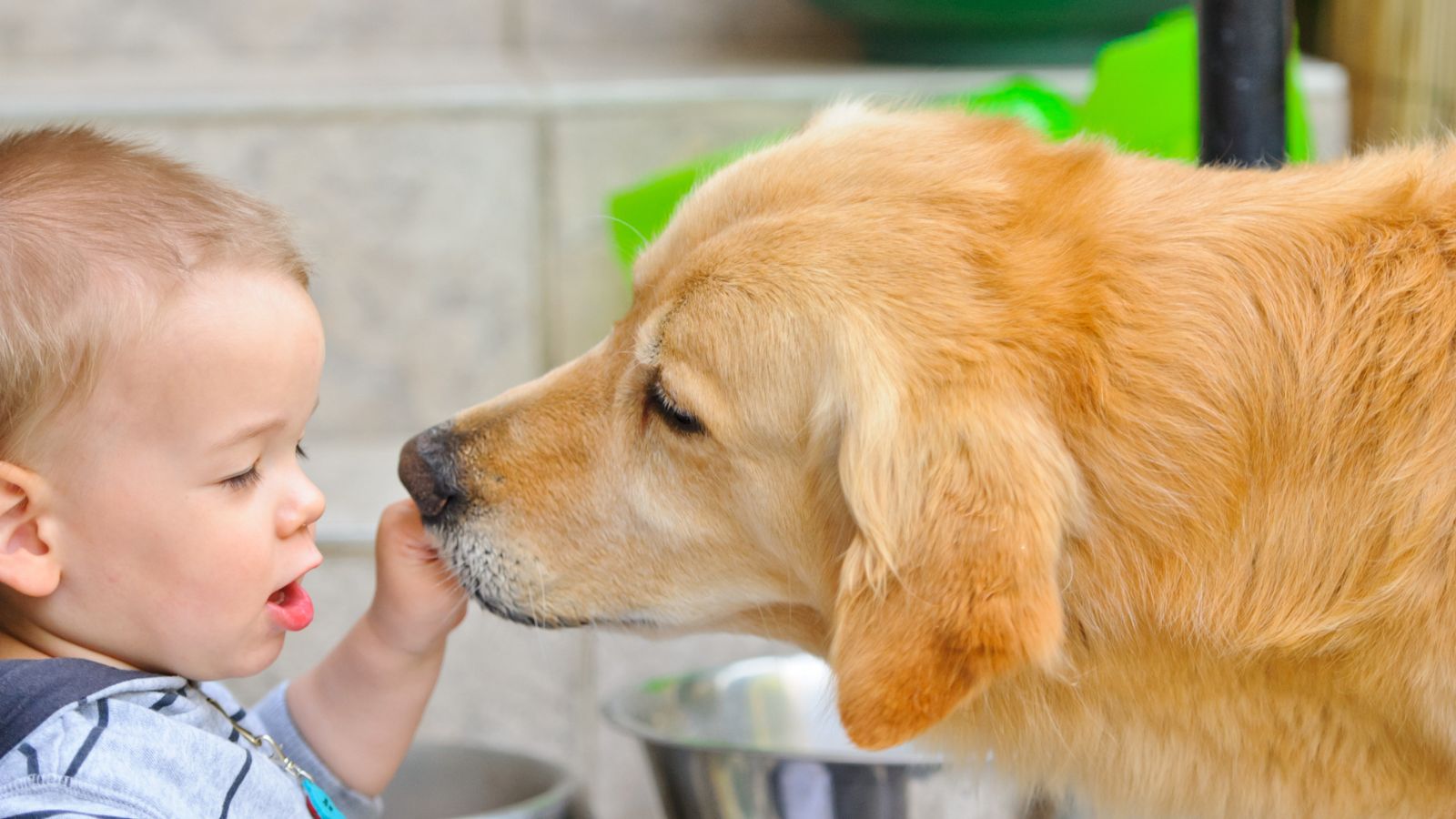 tre-3-tuoi-tiem-phong-dai-co-anh-huong-gi-khong-1