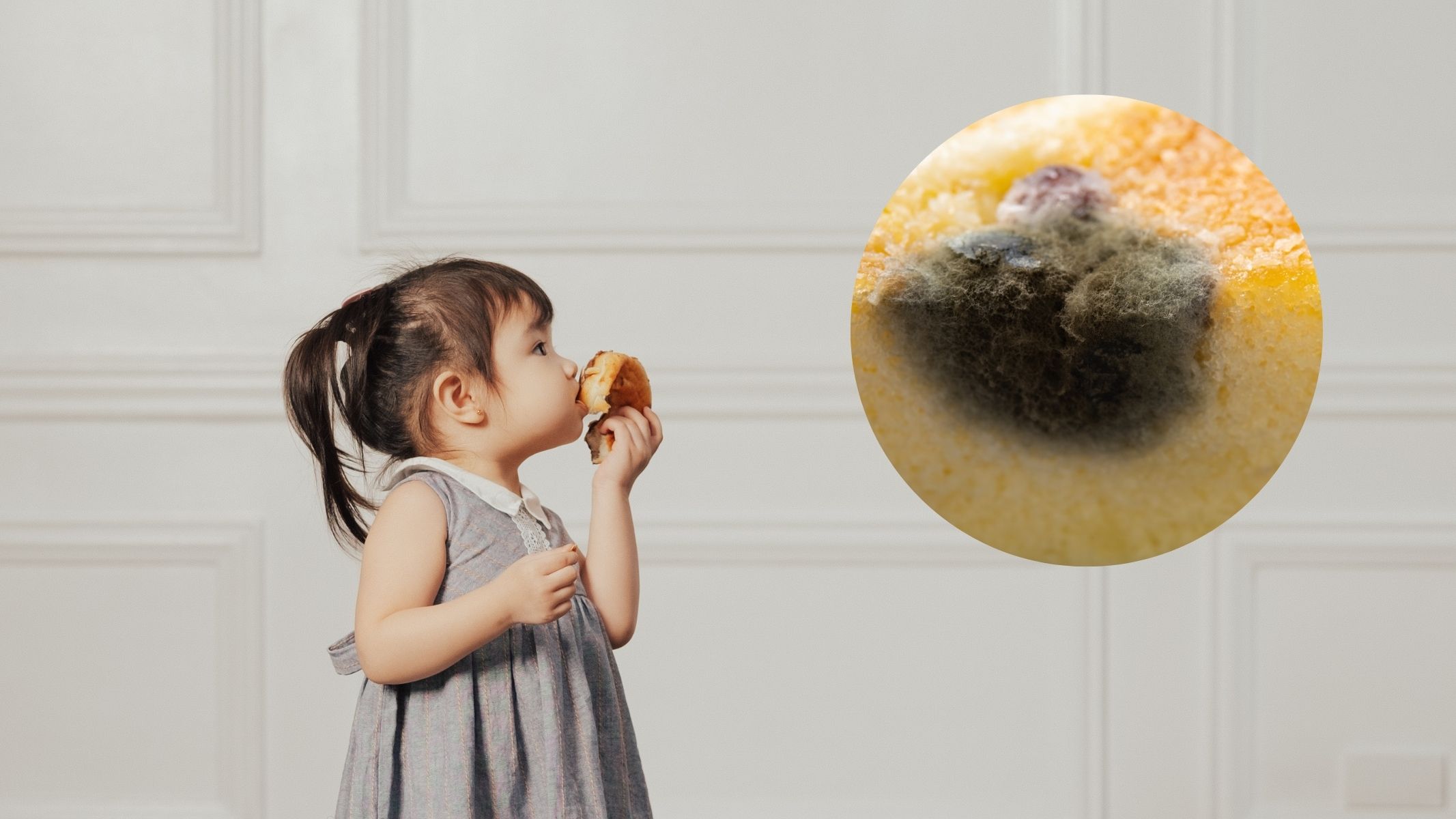 Trẻ ăn bánh bị mốc có sao không?
