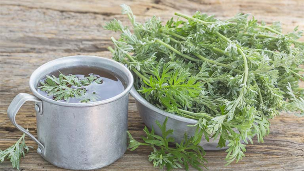 tre-bi-cam-cum-tam-la-gi-de-giai-cam-an-toan-va-hieu-qua 4.png