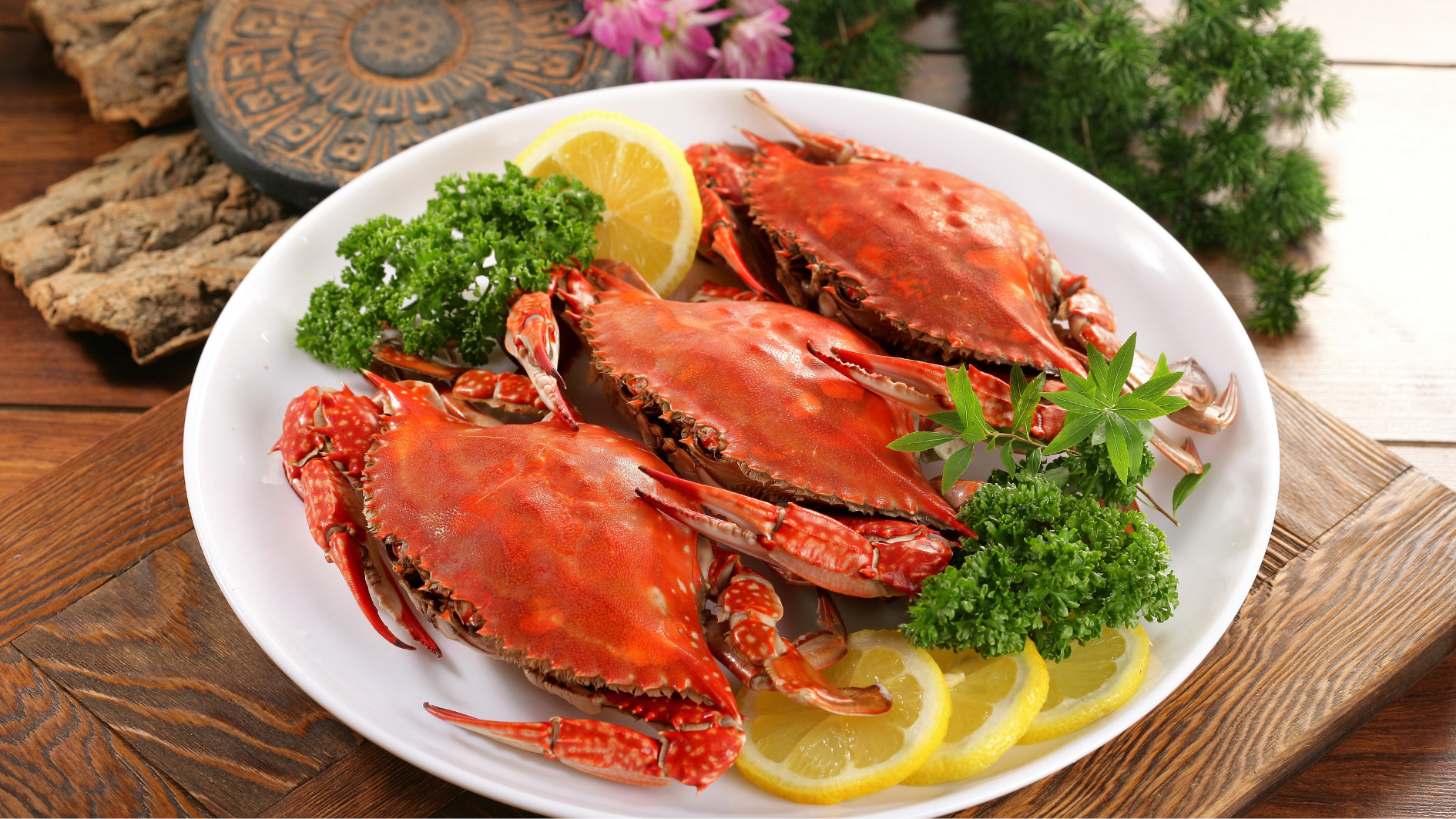 tre-bi-tieu-chay-nen-an-gi 3.png