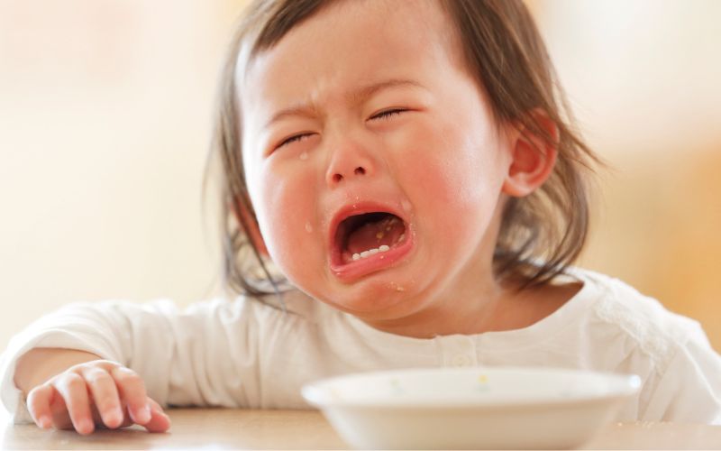 3,5 - 4 tuổi là khoảng thời gian trẻ bắt đầu biết kén chọn đồ ăn hơn trước đó