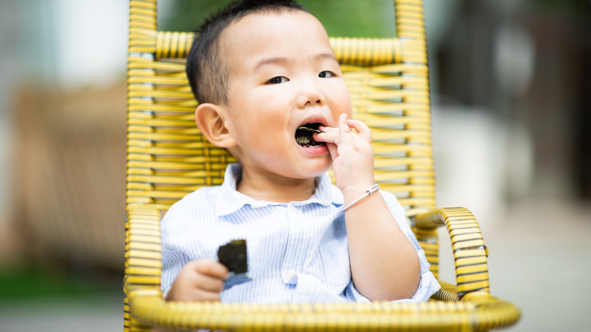 Giá trị dinh dưỡng của rong biển hỗ trợ sự phát triển của trẻ