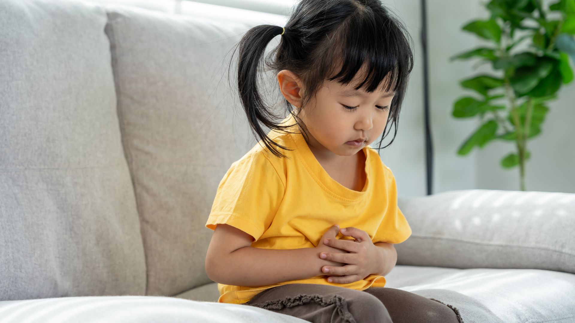 Trẻ em ăn vải có tốt không? Lợi ích và những lưu ý cha mẹ cần biết 2