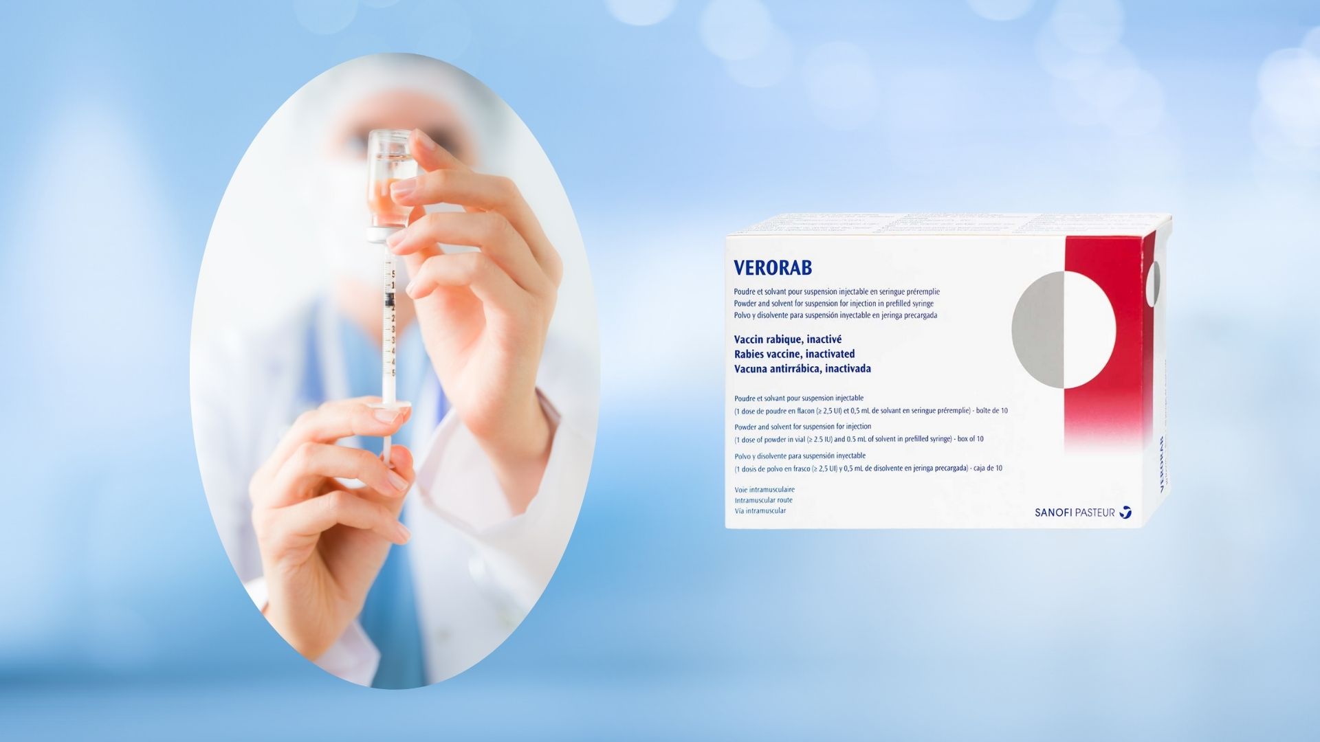 tre-em-bi-cho-can-phai-lam-sao-cach-xu-ly-va-tiem-phong-ngua-benh-dai 2.jpg