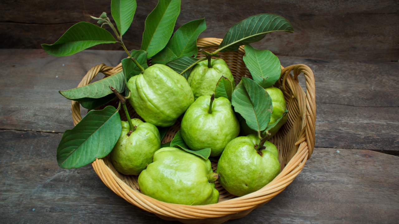 tre-em-bi-non-va-tieu-chay-nen-an-gi (3).png