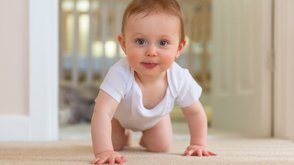 Trẻ mấy tháng biết bò? Cột mốc phát triển cha mẹ cần lưu ý 5