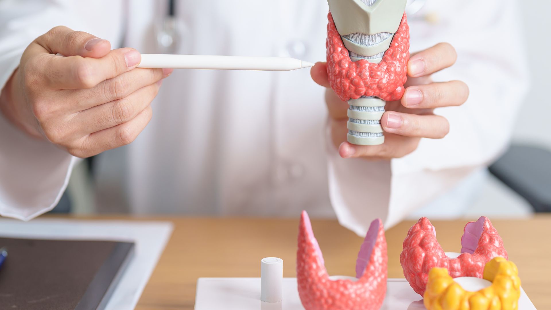 Suy giáp bẩm sinh là một nguyên nhân khiến trẻ sơ sinh bị vàng da kéo dài