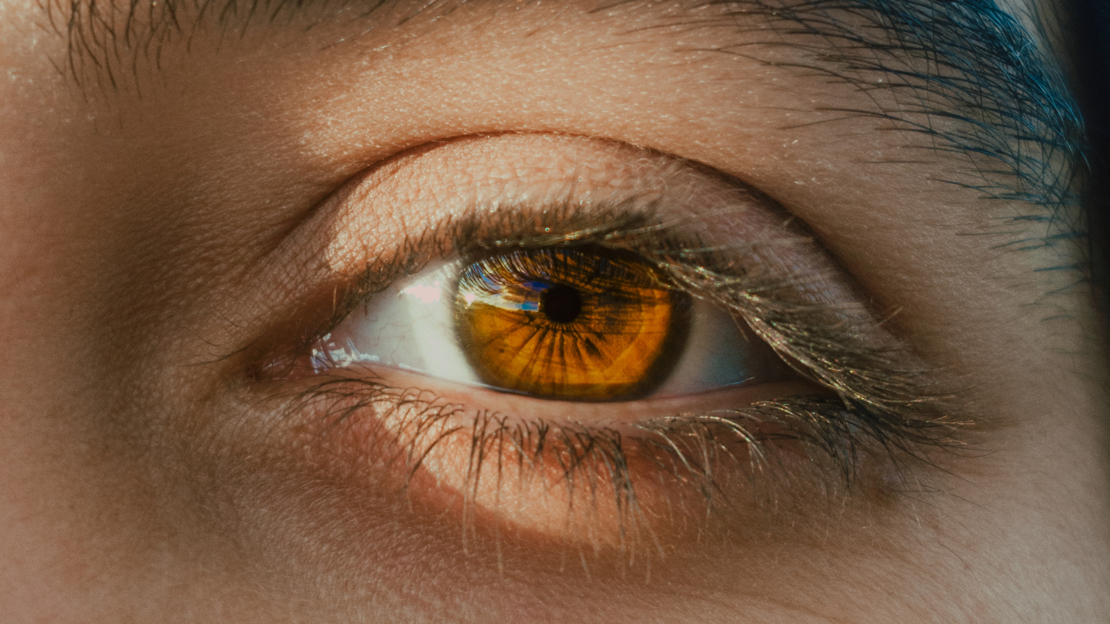 Môi trường xung quanh có thể là yếu tố tác động gây khô mắt