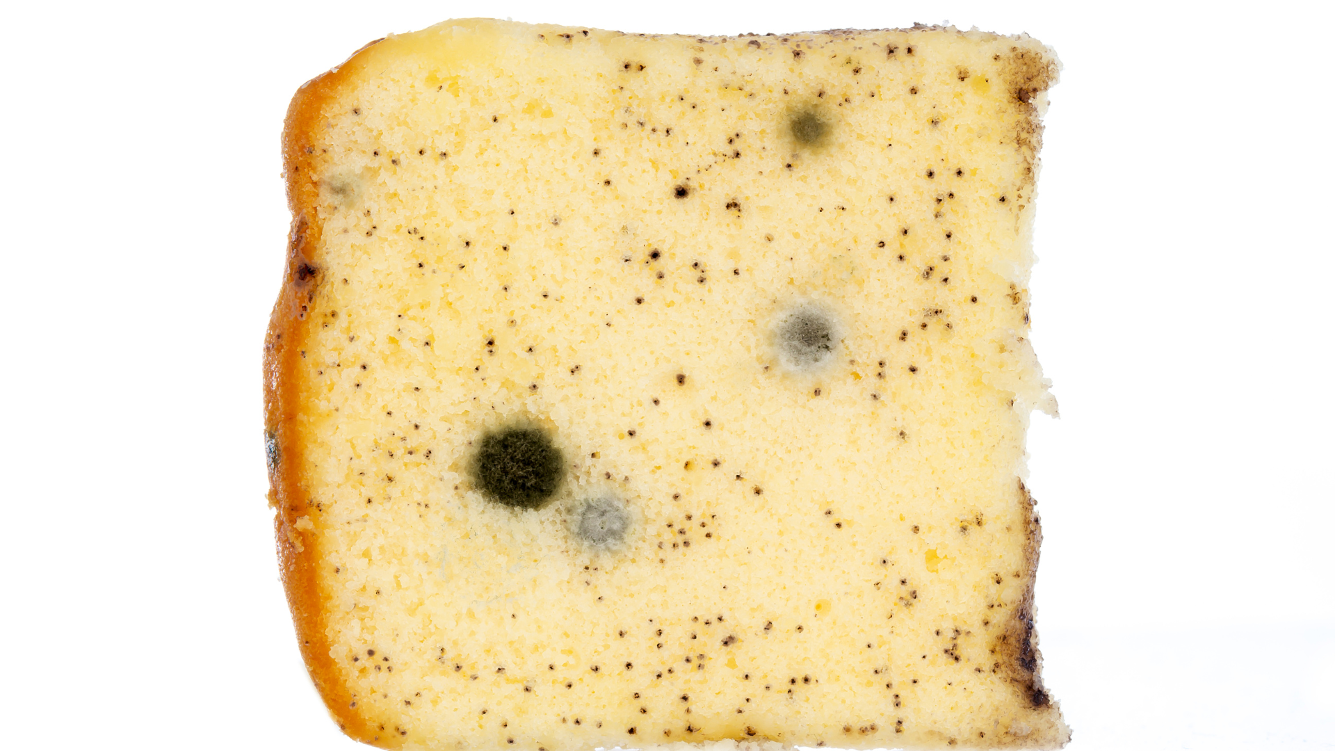 Ngộ độc nấm mốc xảy ra khi ăn nhầm thực phẩm bị mốc nặng