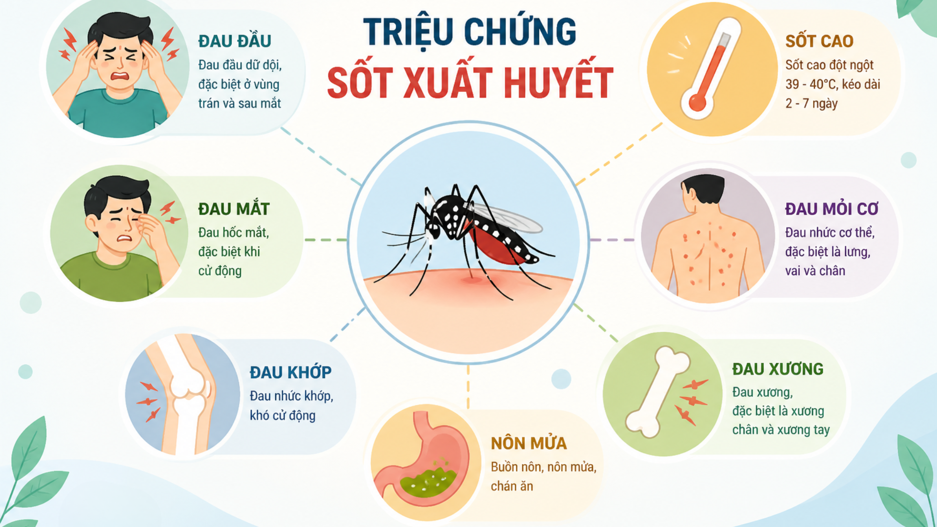 Các&nbsp;triệu chứng sốt xuất huyết thường gặp giúp cha mẹ dễ dàng nhận biết bệnh ở trẻ