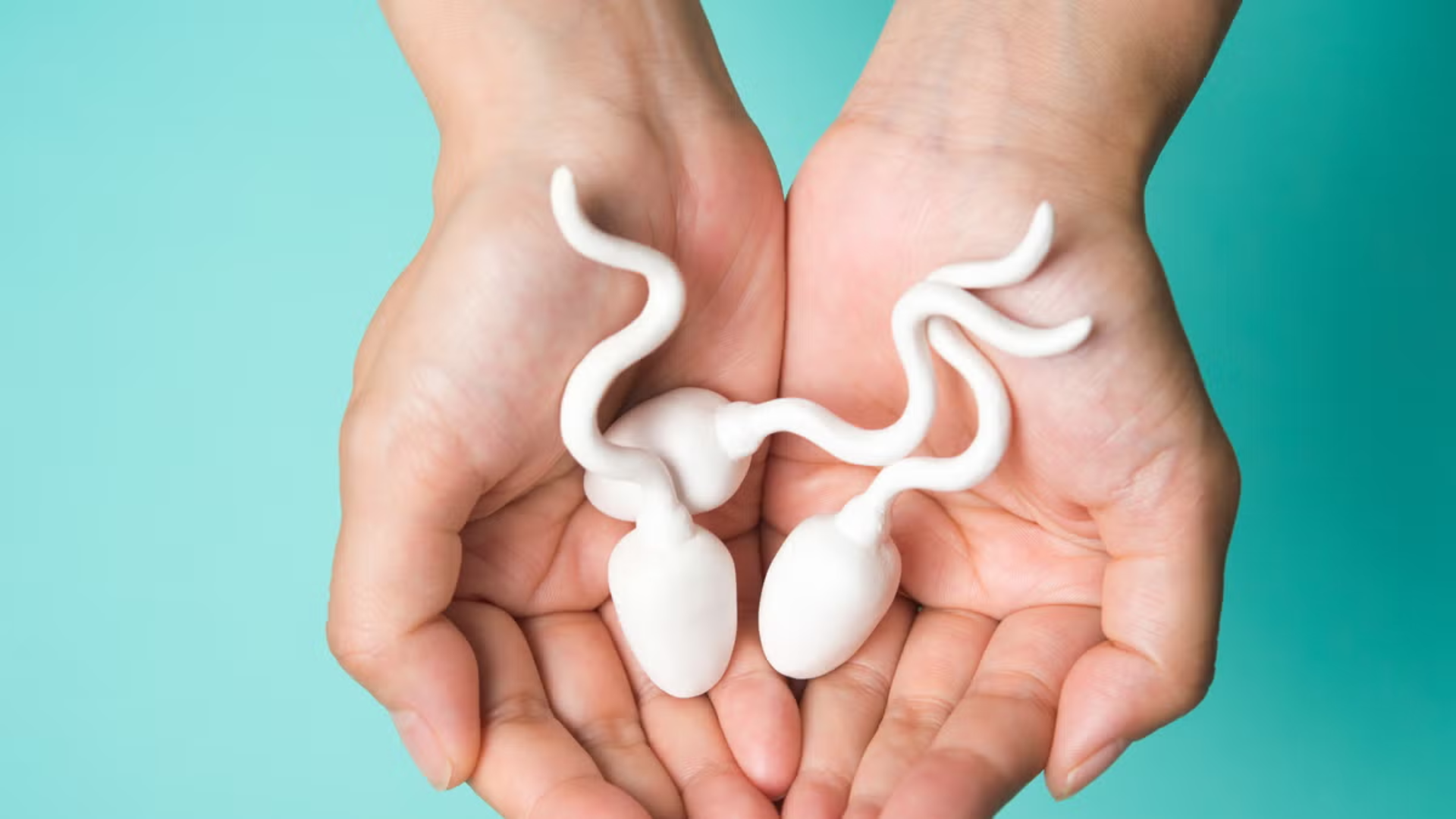 Tuyến tiền liệt là gì? Và những thông tin nam giới cần biết 3