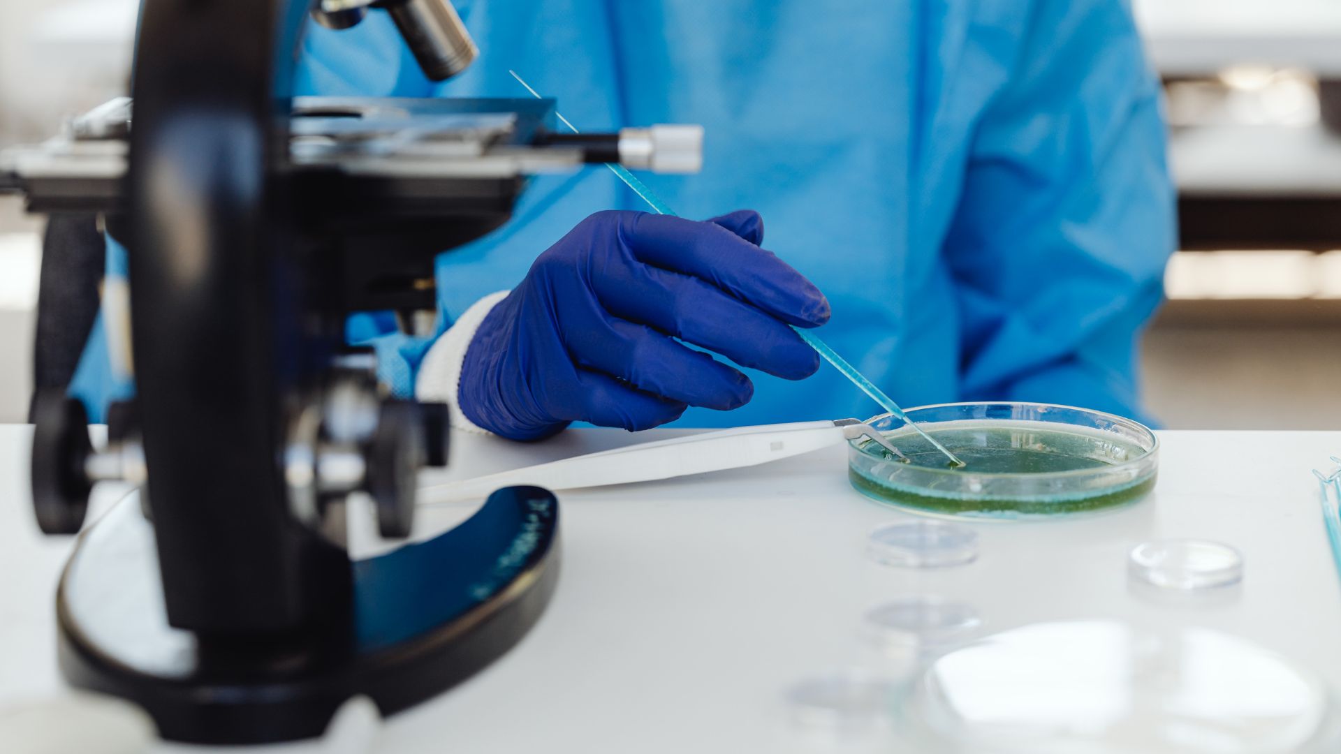 Soi tươi và nhuộm mô tìm thể Donovan là phương pháp chẩn đoán đặc hiệu nhất