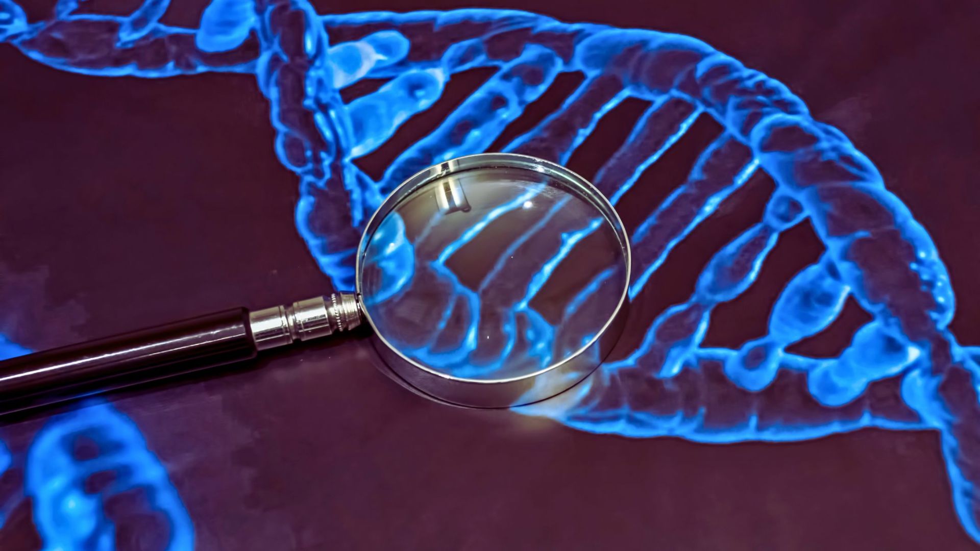 Di truyền là yếu tố được chứng minh có liên quan đến sự hình thành u mỡ ở lưng