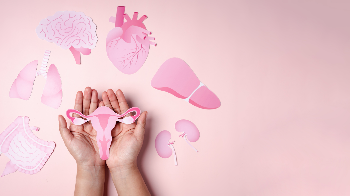U nang buồng trứng có nguy hiểm không? Dấu hiệu, biến chứng và cách điều trị hiệu quả 2