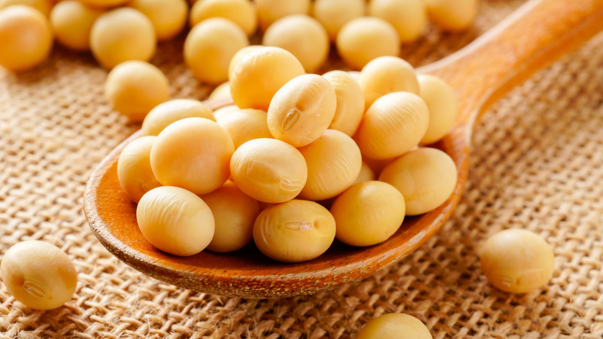 U xơ tử cung có được ăn lạc không? Những điều quan trọng cần biết 3